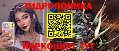 шишки Ирбит
