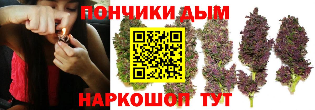 Канабис MAZAR Кимры